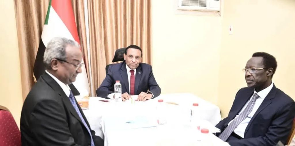 د. كامل إدريس يوجه بإنشاء مجلس للعلاقات الخارجية