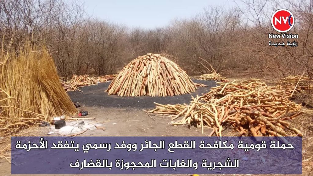 حملة قومية مكافحة القطع الجائر ووفد رسمي يتفقد الأحزمة الشجرية والغابات المحجوزة بالقضارف