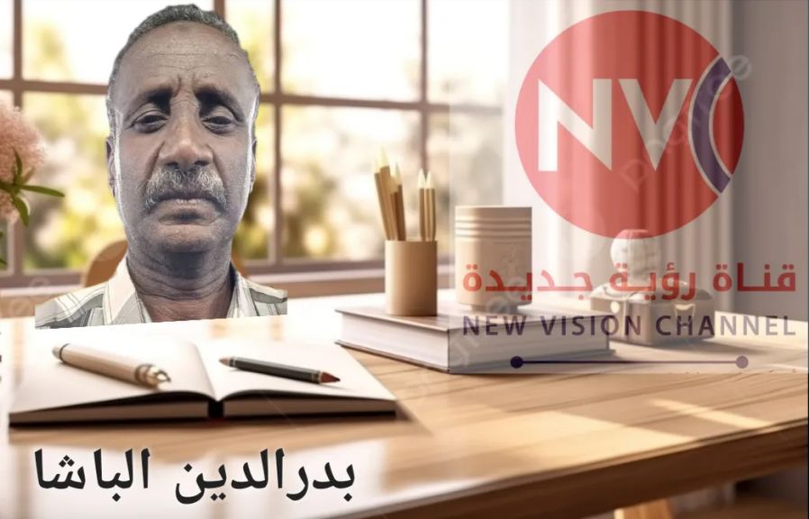 ✍ بدر الدين الباشا :  غياب إكتمال هيكلة الدول