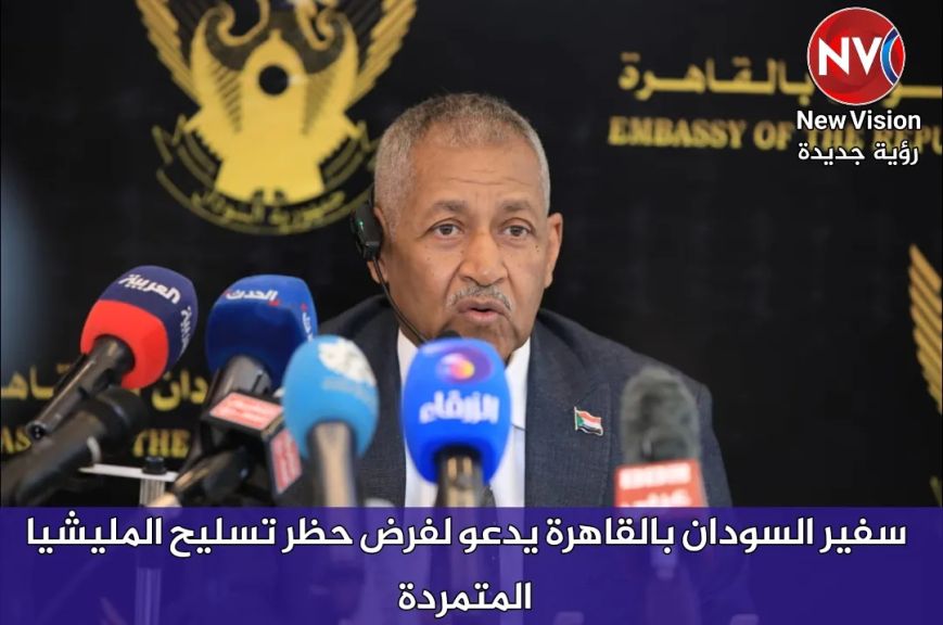 سفير السودان بالقاهرة يدعو لفرض حظر تسليح المليشيا المتمردة