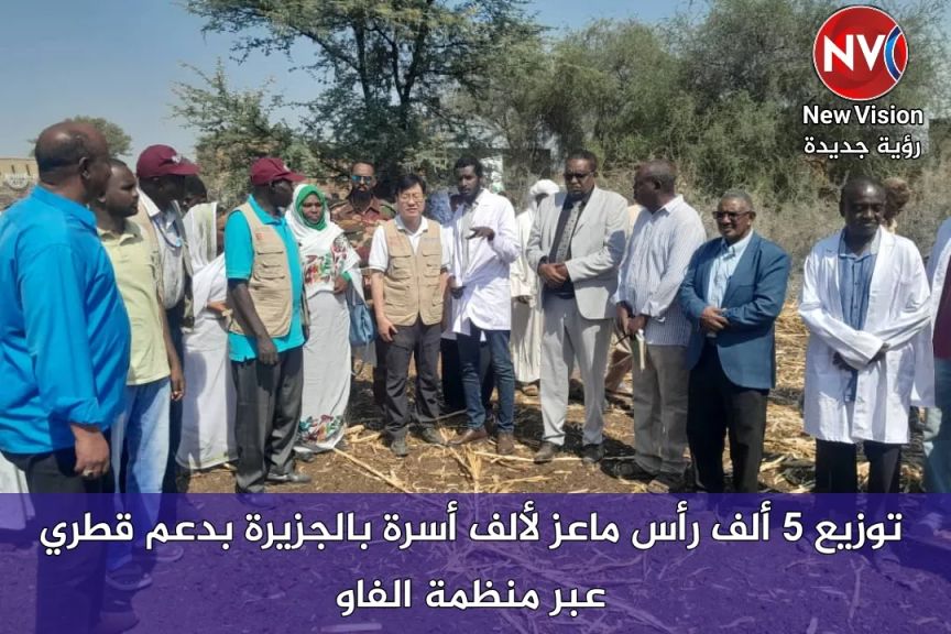 توزيع 5 ألف رأس ماعز لألف أسرة بالجزيرة بدعم قطري عبر منظمة الفاو